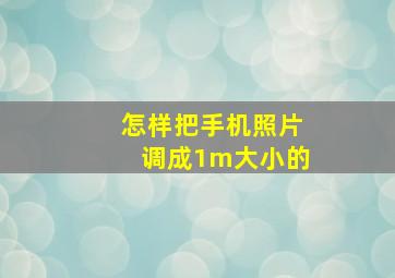 怎样把手机照片调成1m大小的