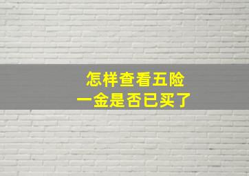 怎样查看五险一金是否已买了