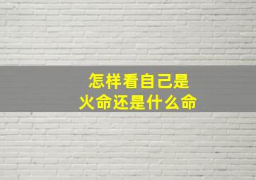 怎样看自己是火命还是什么命