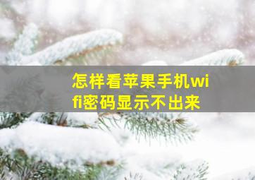 怎样看苹果手机wifi密码显示不出来