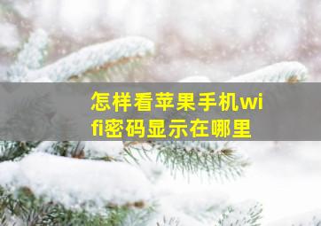 怎样看苹果手机wifi密码显示在哪里