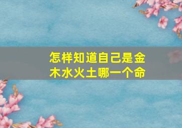 怎样知道自己是金木水火土哪一个命