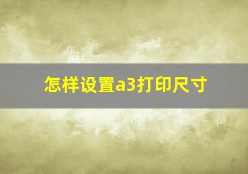 怎样设置a3打印尺寸