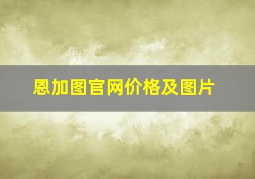 恩加图官网价格及图片