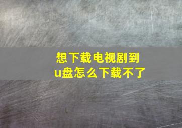 想下载电视剧到u盘怎么下载不了