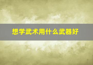 想学武术用什么武器好