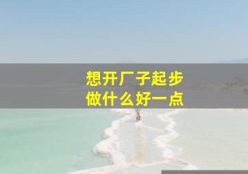 想开厂子起步做什么好一点