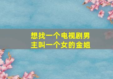 想找一个电视剧男主叫一个女的金姐