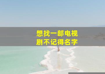 想找一部电视剧不记得名字