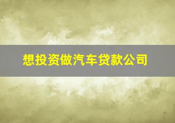 想投资做汽车贷款公司