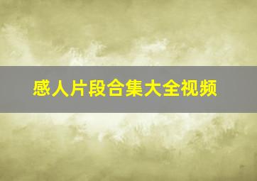 感人片段合集大全视频