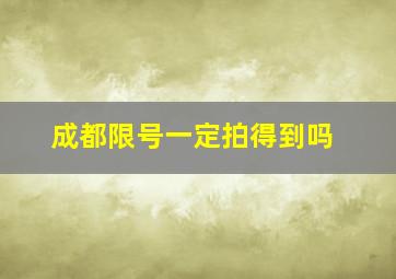 成都限号一定拍得到吗