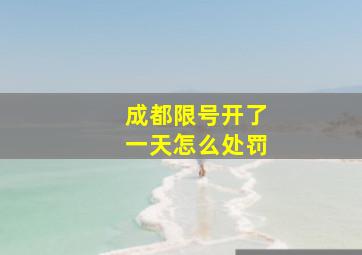 成都限号开了一天怎么处罚