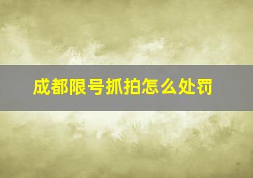 成都限号抓拍怎么处罚