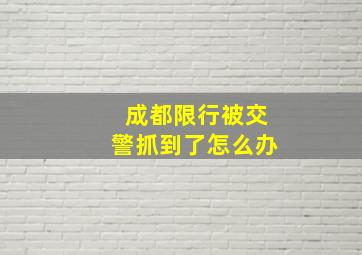 成都限行被交警抓到了怎么办