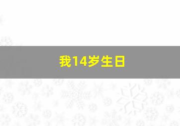 我14岁生日