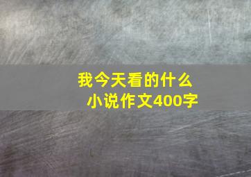 我今天看的什么小说作文400字