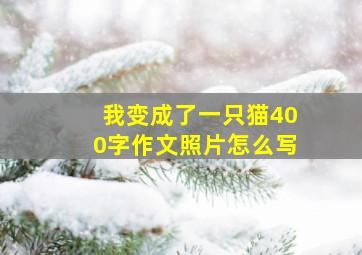 我变成了一只猫400字作文照片怎么写