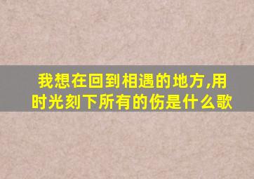 我想在回到相遇的地方,用时光刻下所有的伤是什么歌