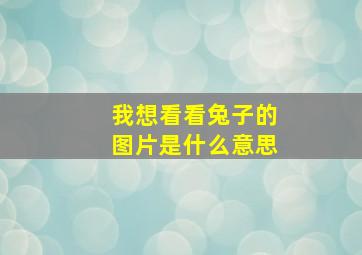 我想看看兔子的图片是什么意思