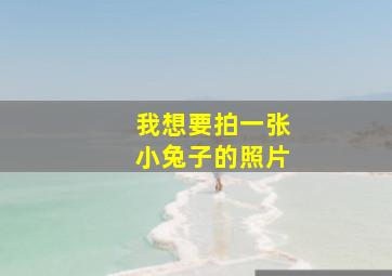 我想要拍一张小兔子的照片