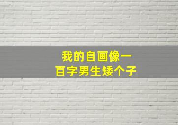 我的自画像一百字男生矮个子