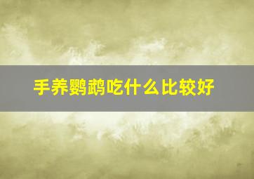 手养鹦鹉吃什么比较好