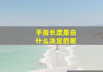 手指长度是由什么决定的呢