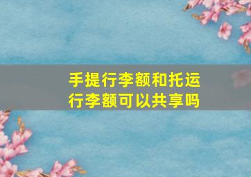 手提行李额和托运行李额可以共享吗