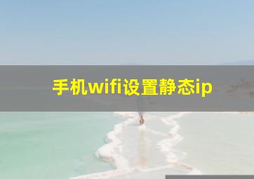 手机wifi设置静态ip