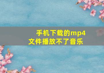 手机下载的mp4文件播放不了音乐