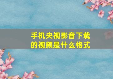 手机央视影音下载的视频是什么格式