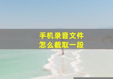 手机录音文件怎么截取一段