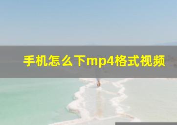 手机怎么下mp4格式视频