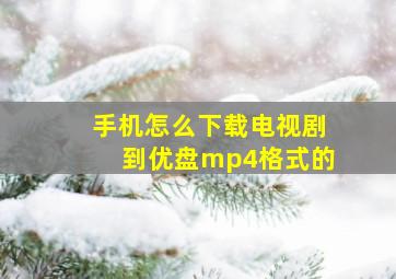 手机怎么下载电视剧到优盘mp4格式的