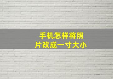 手机怎样将照片改成一寸大小