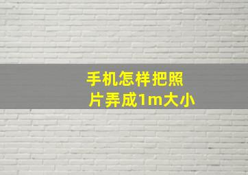 手机怎样把照片弄成1m大小