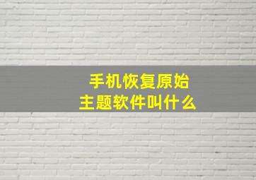 手机恢复原始主题软件叫什么