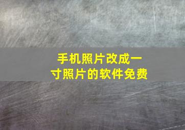 手机照片改成一寸照片的软件免费