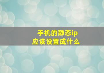 手机的静态ip应该设置成什么