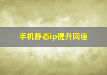 手机静态ip提升网速