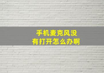 手机麦克风没有打开怎么办啊