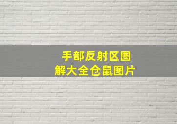 手部反射区图解大全仓鼠图片