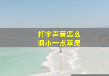 打字声音怎么调小一点苹果