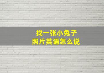 找一张小兔子照片英语怎么说