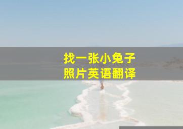 找一张小兔子照片英语翻译