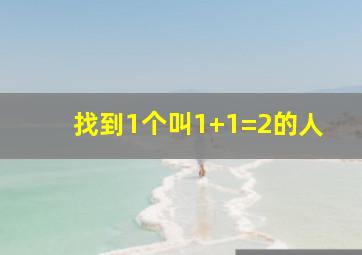 找到1个叫1+1=2的人