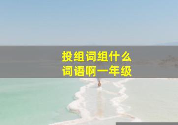 投组词组什么词语啊一年级