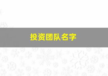 投资团队名字