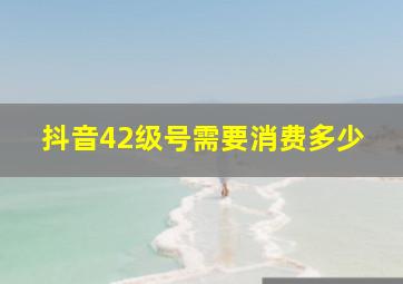 抖音42级号需要消费多少